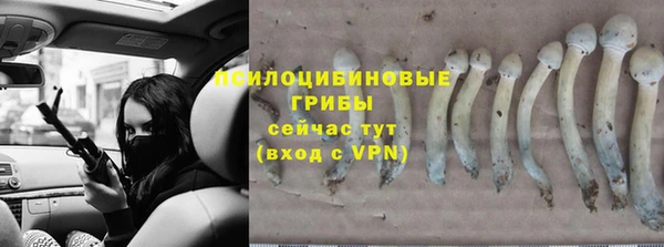 тгк Алзамай
