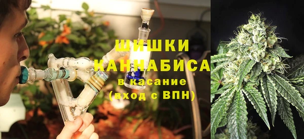 ГАЛЛЮЦИНОГЕННЫЕ ГРИБЫ Алексин