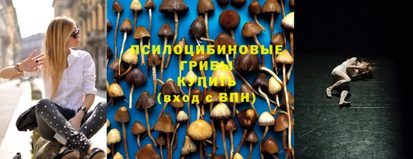 тгк Алзамай