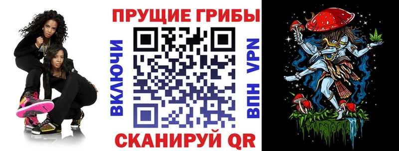 Галлюциногенные грибы ЛСД  Купить где  Выборг 